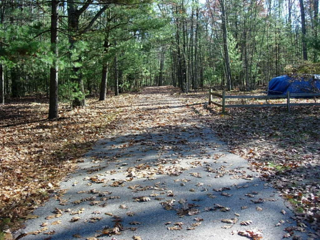 9541 North Granger Road Irons, MI 49644 - Photo 15 of 16 DSCN1659