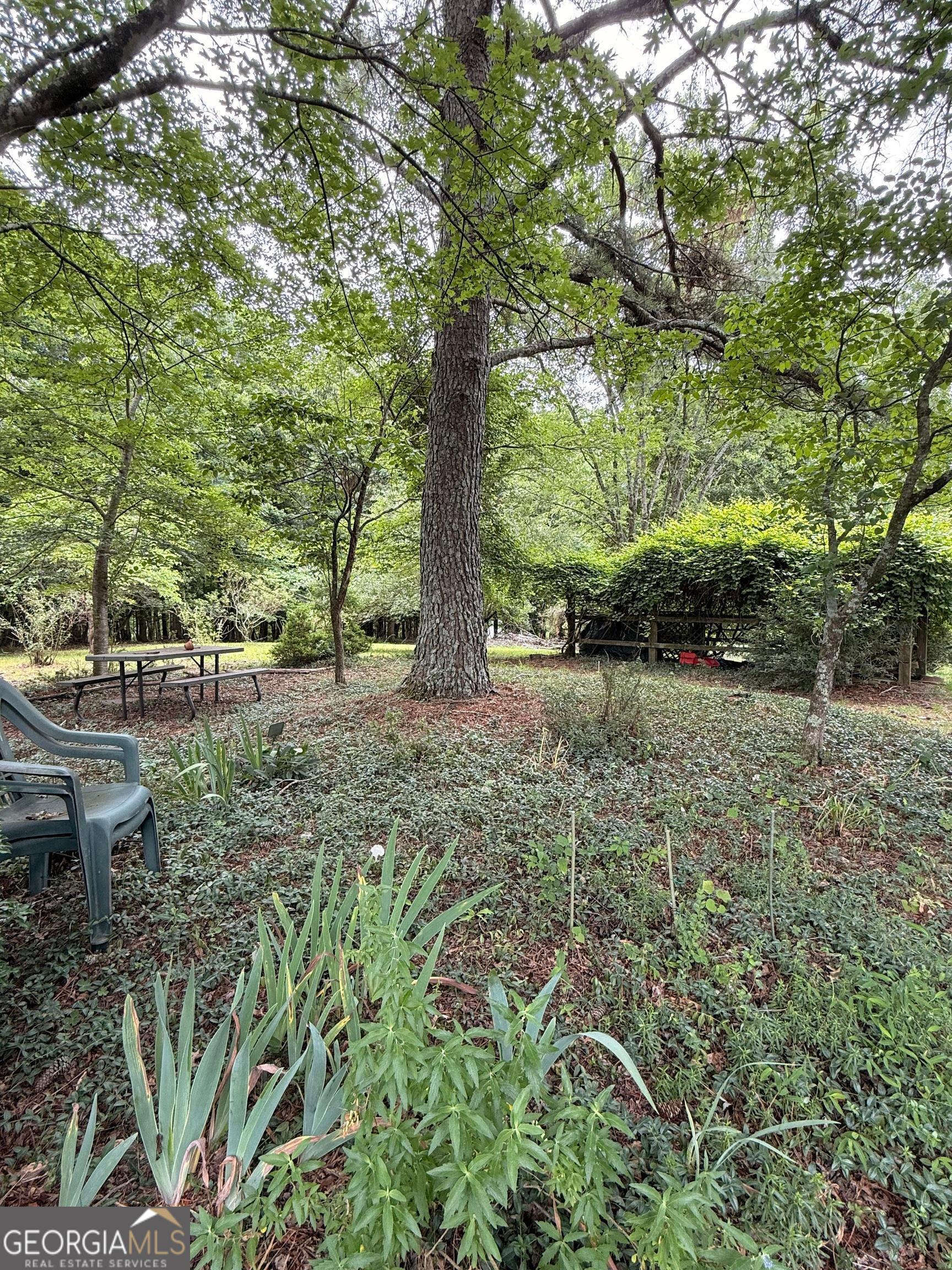1303 Mt Zion Church Road Murrayville, GA 30564 - Photo 19 of 20