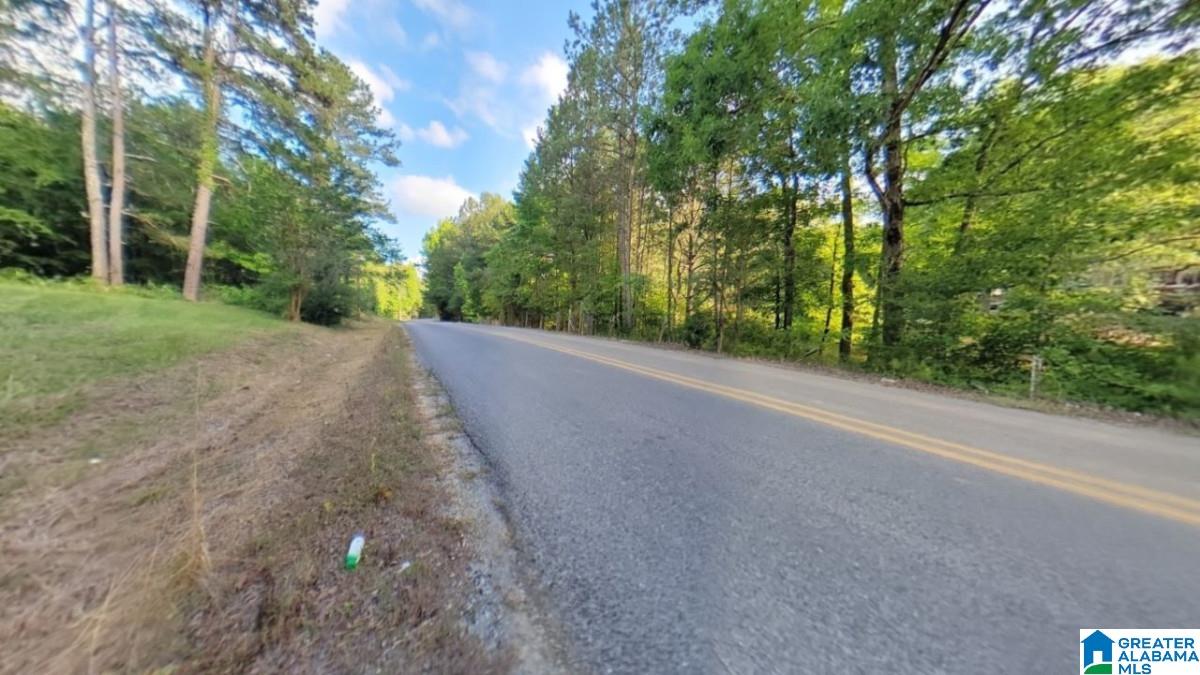 2116 Tom Cat Road Piedmont, AL 36272 - Photo 17 of 18