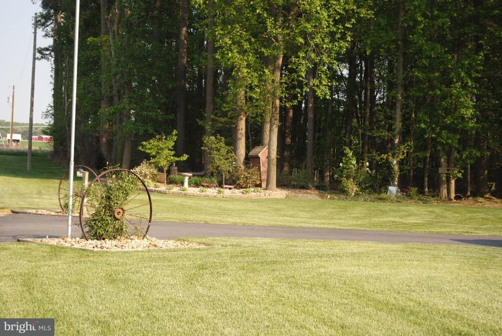 19315 Handy Road Bridgeville, DE 19933 - Photo 22 of 25 Gallery Image 22