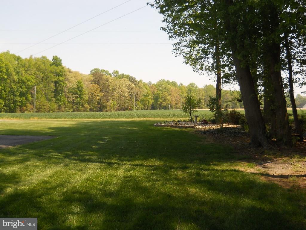 19315 Handy Road Bridgeville, DE 19933 - Photo 25 of 25 Gallery Image 25