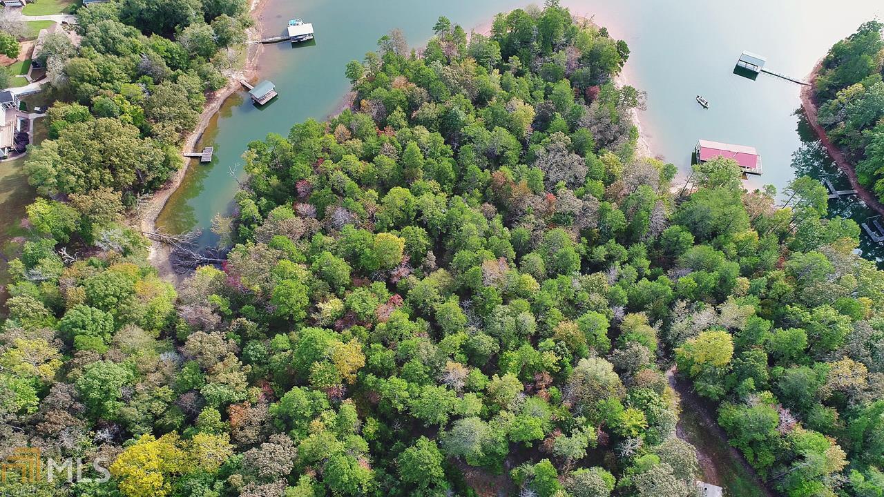 0 Seraph Pointe Road, Unit 1 Lavonia, GA 30553 - Photo 2 of 8