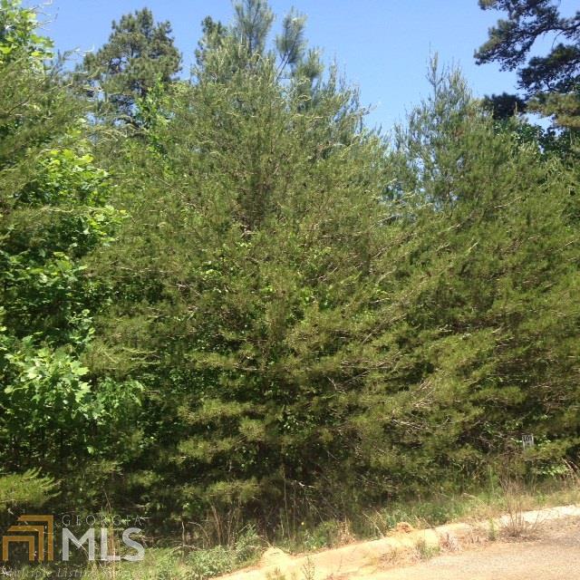 0 Seraph Pointe Road, Unit 1 Lavonia, GA 30553 - Photo 8 of 8