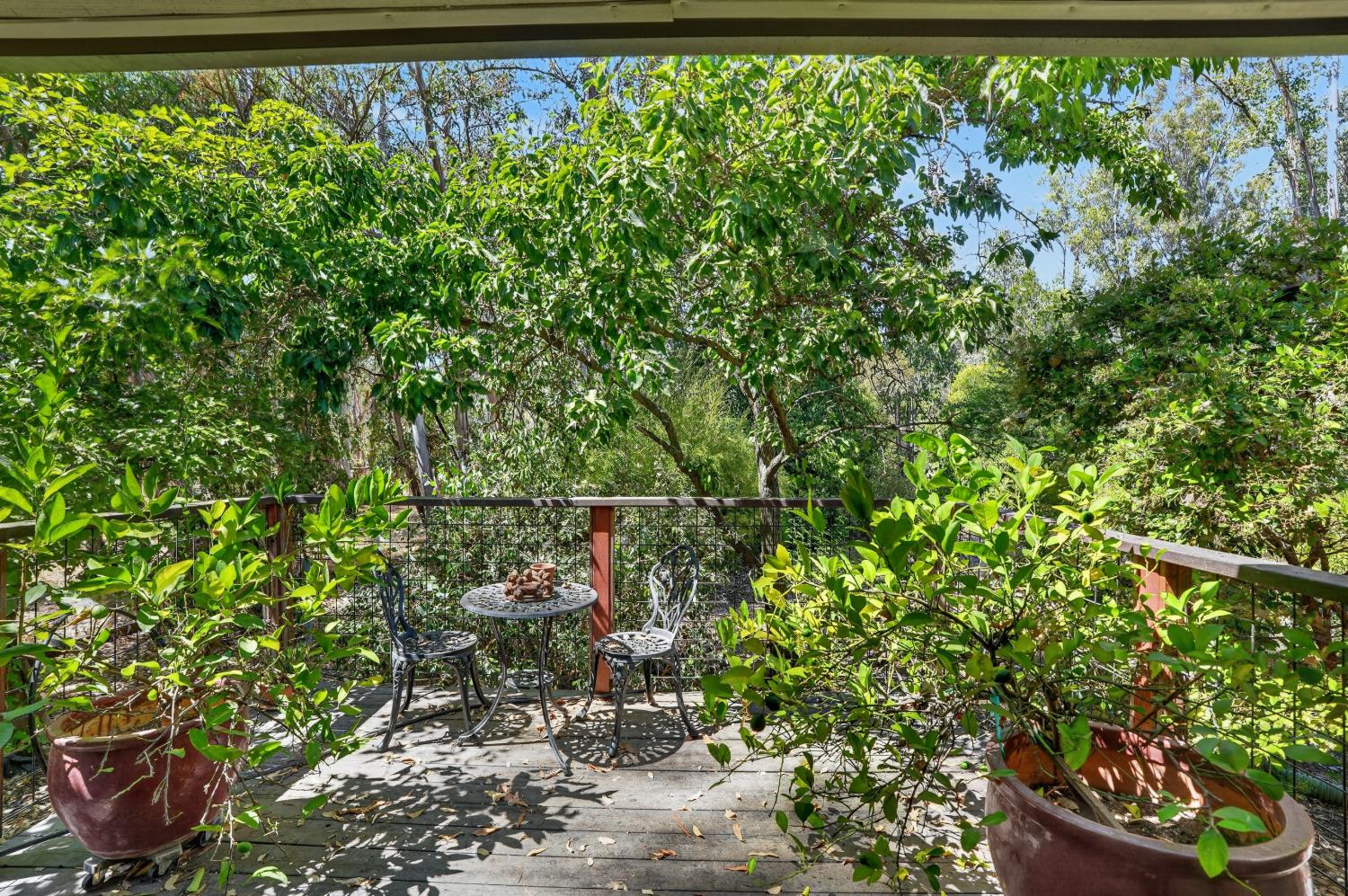 13491 Borden Road Herald, CA 95638 - Photo 36 of 49 Gallery Image 36