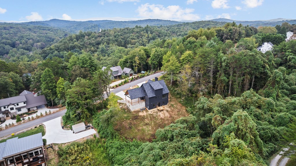 269 Old Orchard Road Ellijay, GA 30536 - Photo 15 of 50 Gallery Image 15