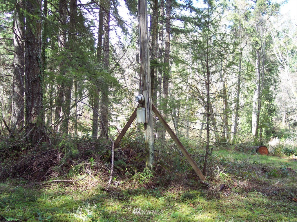 14318 Vail Cut Off Road Southeast Rainier, WA 98576 - Photo 3 of 9 Gallery Image 3
