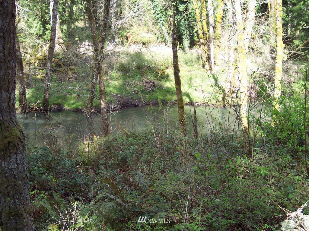 14318 Vail Cut Off Road Southeast Rainier, WA 98576 - Photo 5 of 9 Gallery Image 5