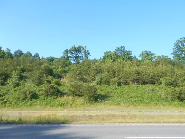 1650 Highway 30 Decatur, TN 37322 - Photo 6 of 6 Gallery Image 6