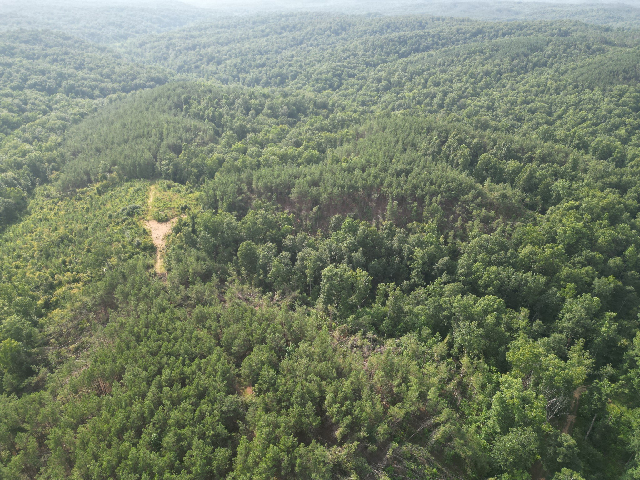 0 Toll Hollow Road Waynesboro, TN 38485 - Photo 39 of 43