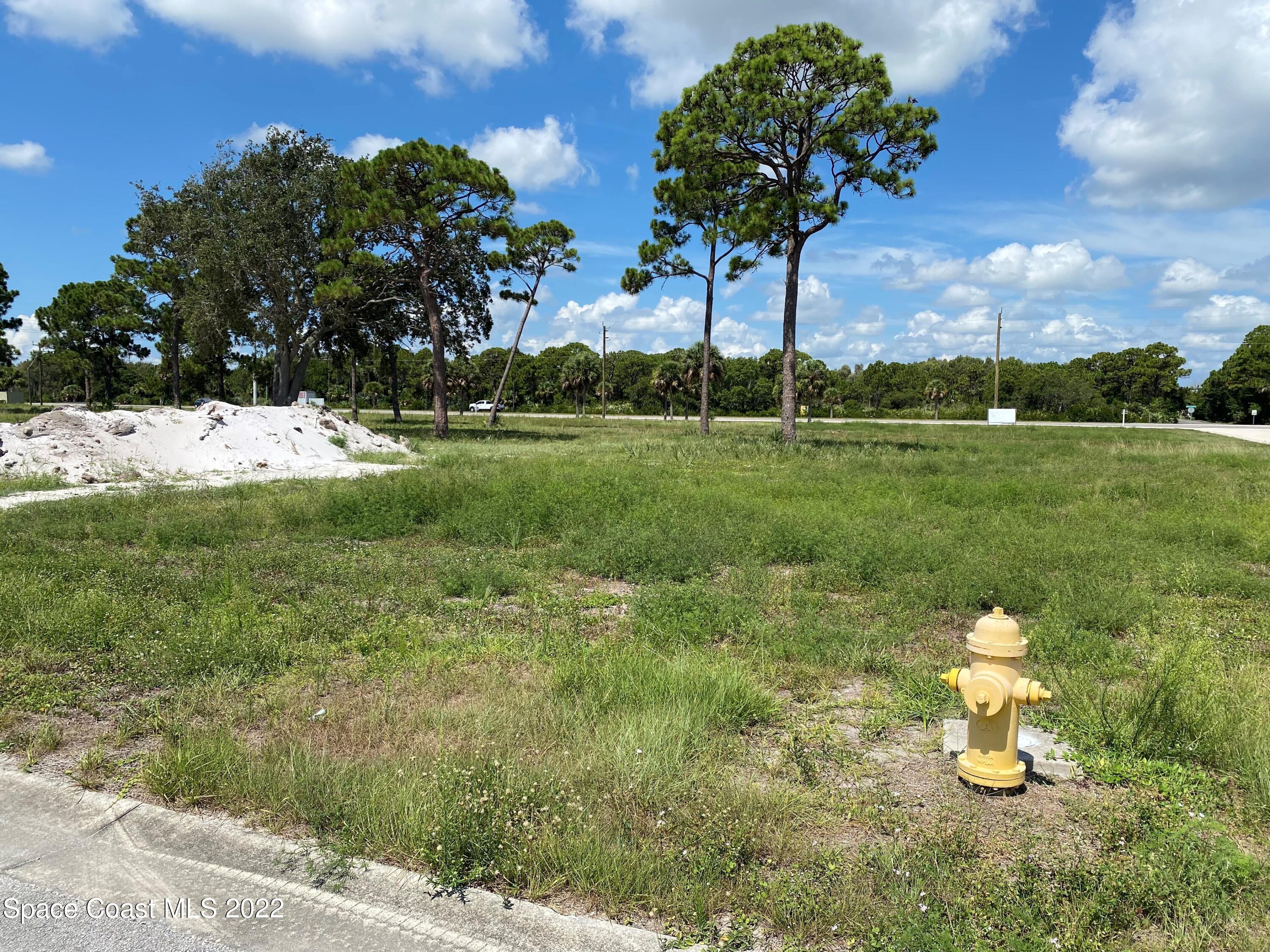 2502 Transom Circle Palm Bay, FL 32905 - Photo 5 of 5 a front view of a house with garden