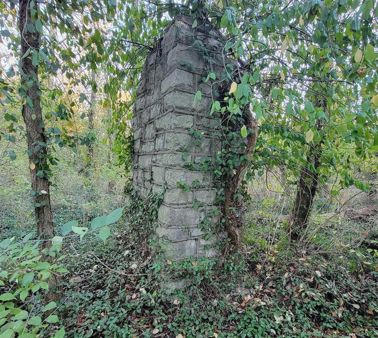 987 Pauls Mill Road Versailles, KY 40383 - Photo 12 of 20 Old Fireplace