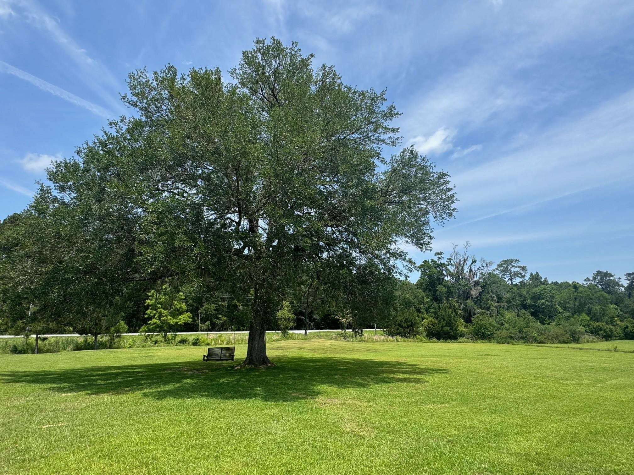 101 Willow Ridge Circle Thomasville, GA 31757 - Photo 34 of 40