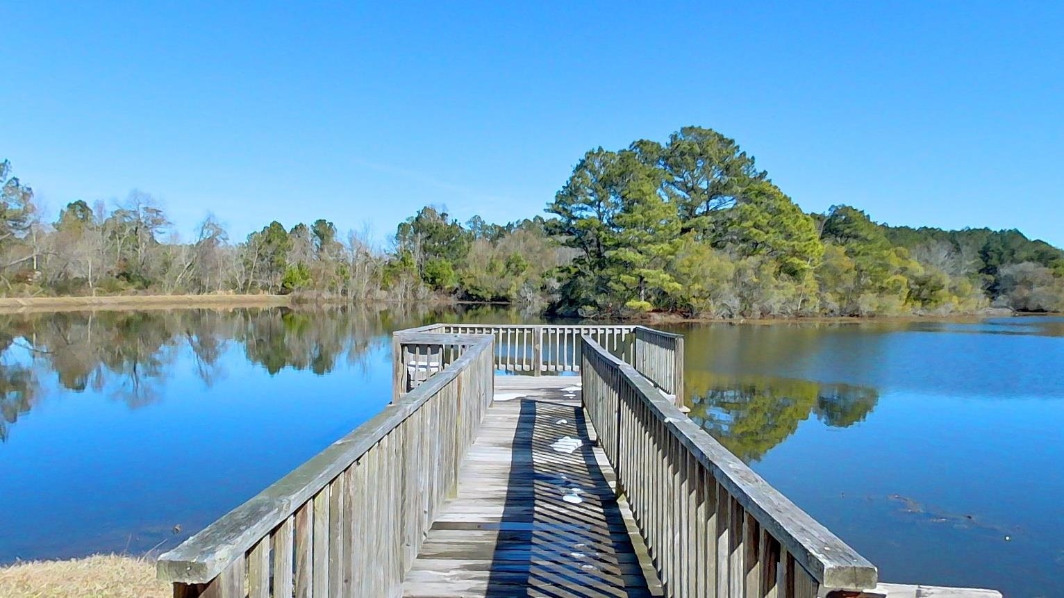 101 Willow Ridge Circle Thomasville, GA 31757 - Photo 7 of 40