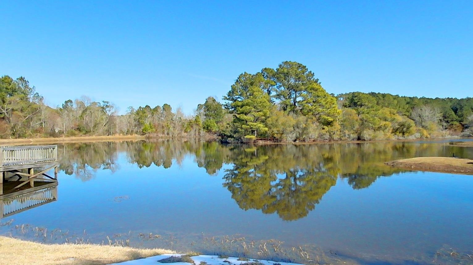 101 Willow Ridge Circle Thomasville, GA 31757 - Photo 9 of 40