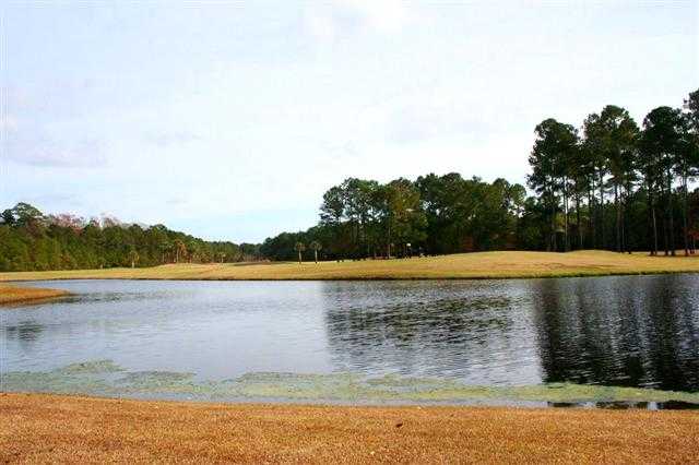 294 Pickering Drive Murrells Inlet, SC 29576 - Photo 14 of 15 Gallery Image 14