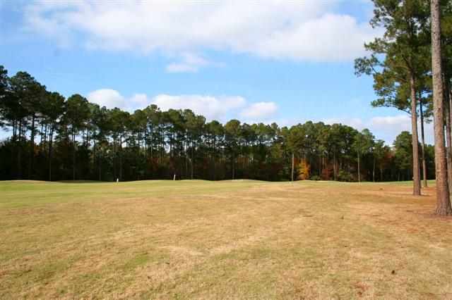 294 Pickering Drive Murrells Inlet, SC 29576 - Photo 15 of 15 Gallery Image 15