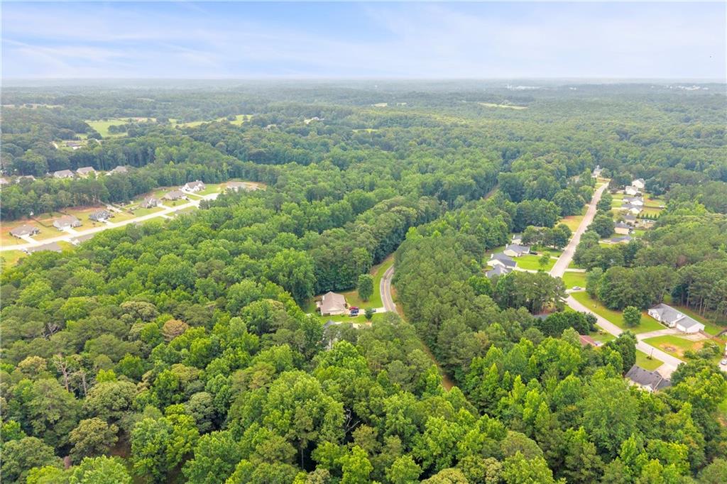 587-j B J B Owens Road Bethlehem, GA 30620 - Photo 94 of 99 a view of a city with lush green forest
