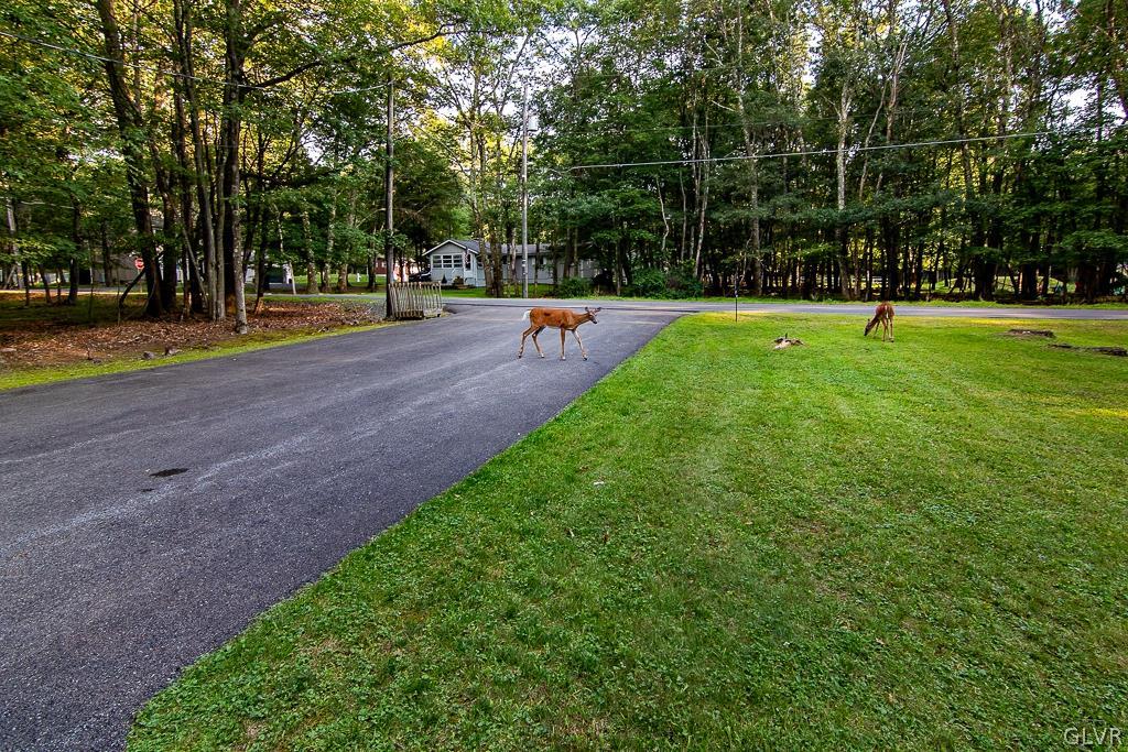 186 Buckhill Road Albrightsville, PA 18210 - Photo 7 of 24 Gallery Image 7