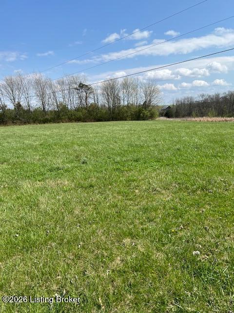 950 Hill Spring Road Pleasureville, KY 40057 - Photo 31 of 37 IMG_7730