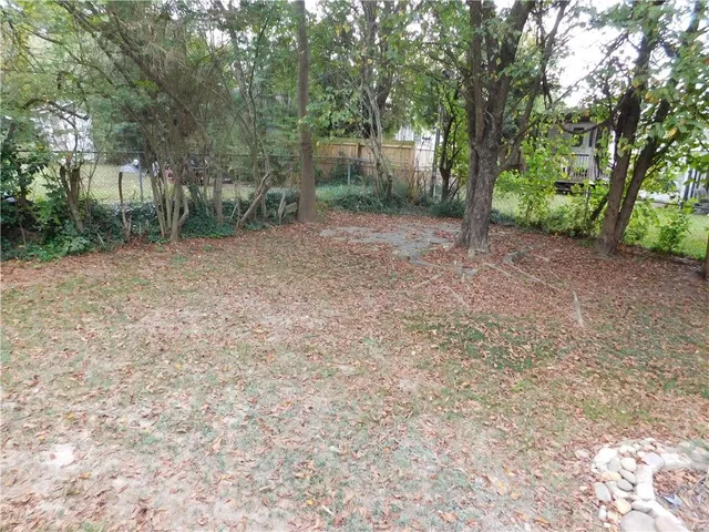 a view of a forest with trees in the background
