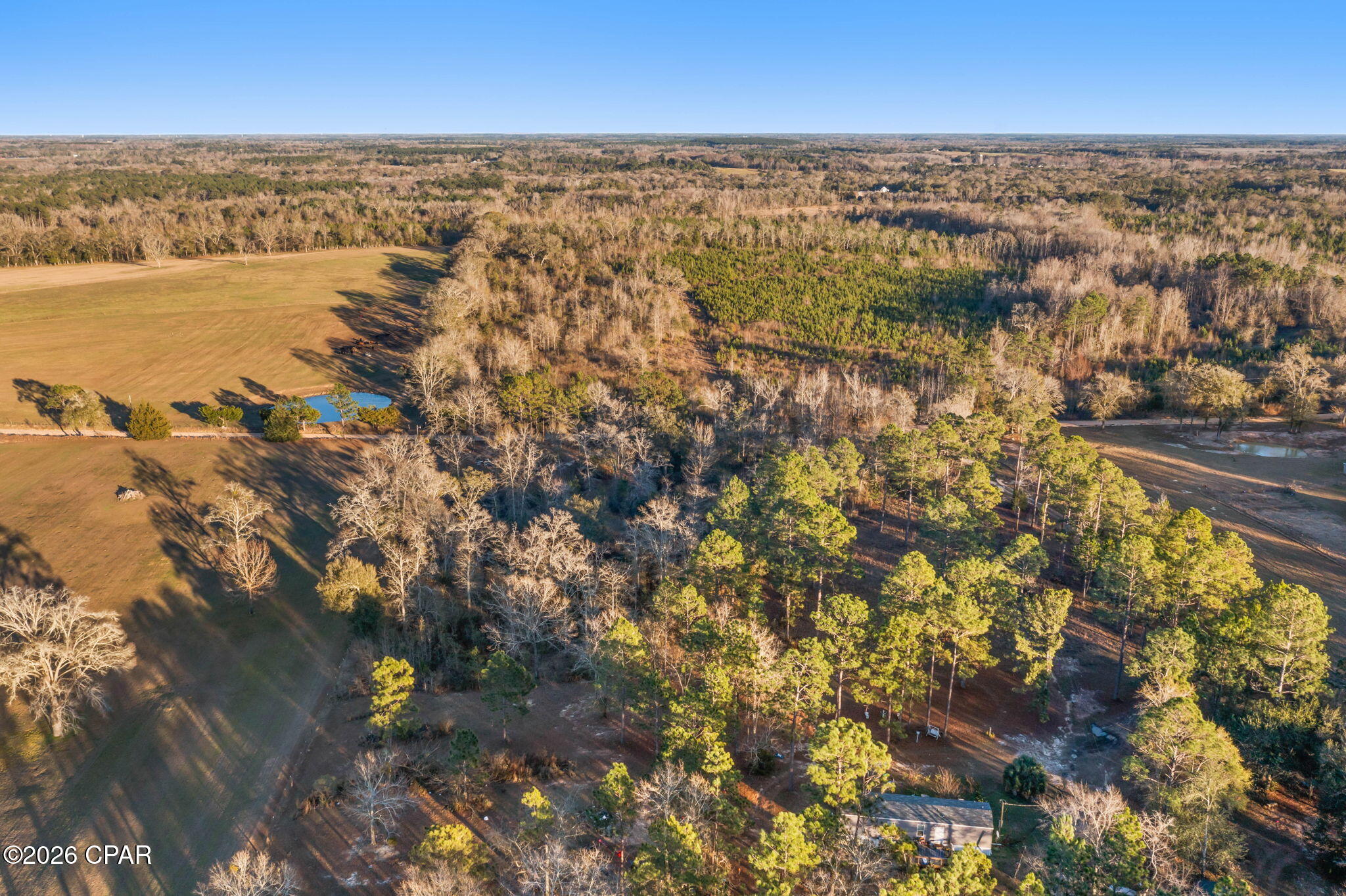 1474 Gavin Road Bonifay, FL 32425 - Photo 9 of 19