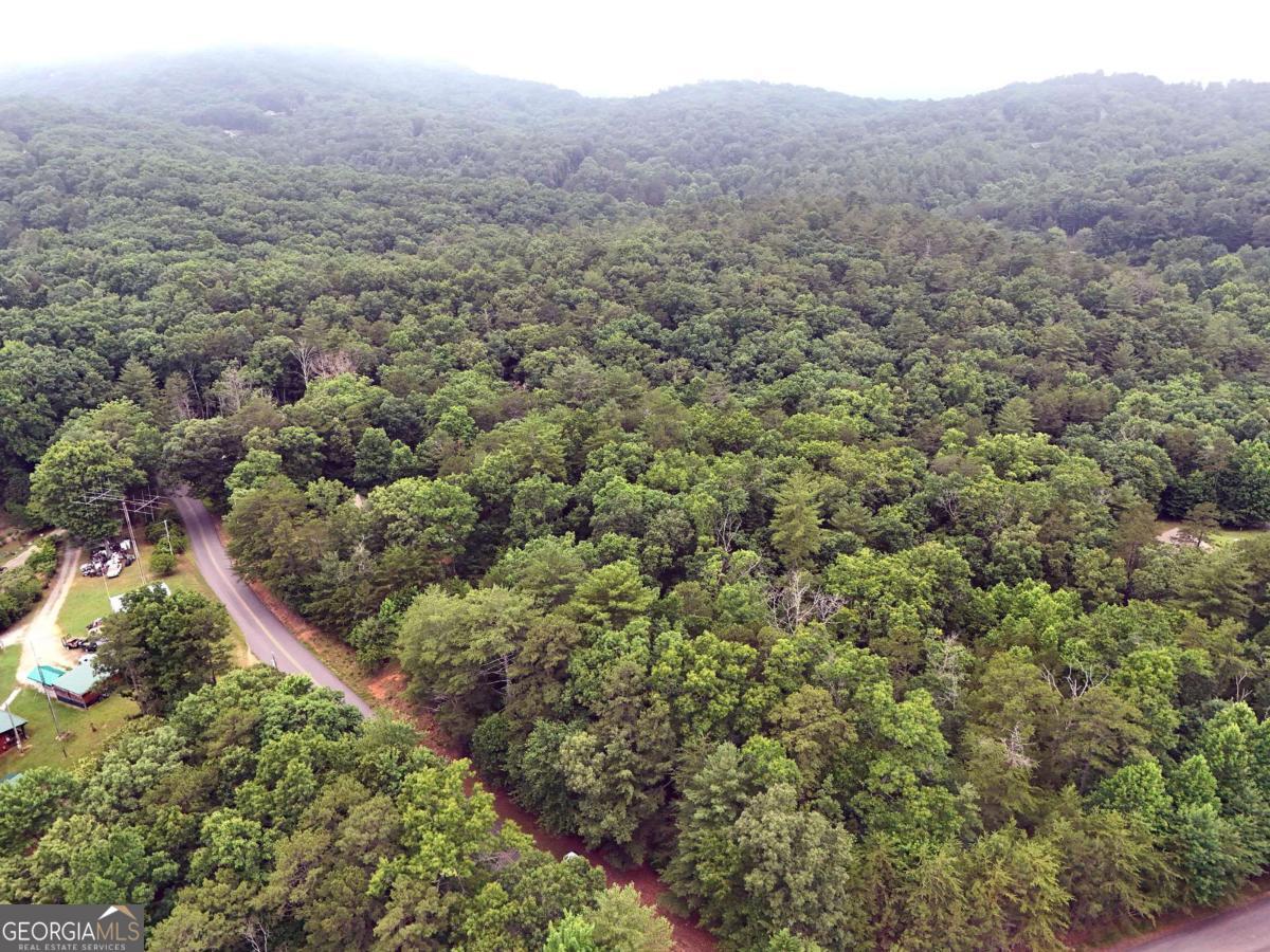 Lot 3 Cook Henry Road Blairsville, GA 30512 - Photo 9 of 18