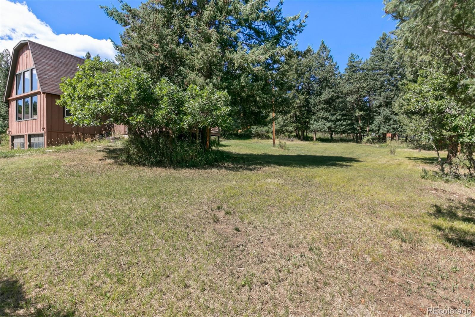 6637 High Drive Morrison, CO 80465 - Photo 26 of 28 a view of a yard with a tree