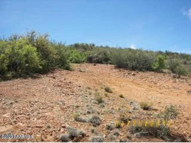 a view of a dry yard with trees in the background