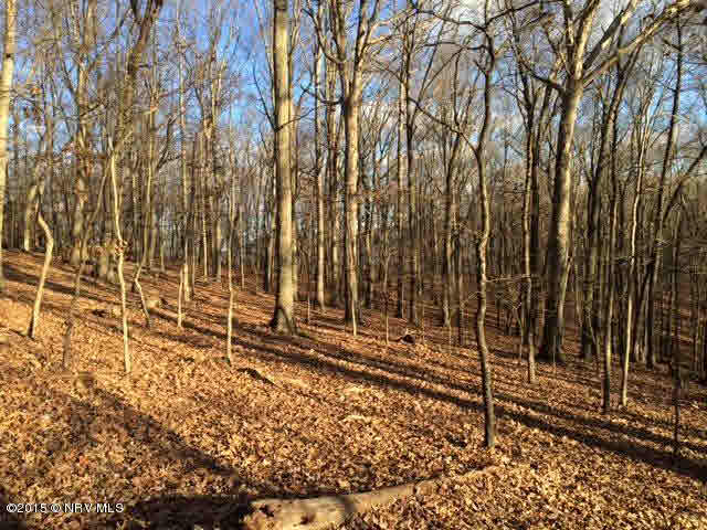 3645 Deer Run Road Blacksburg, VA 24060 - Photo 14 of 19 Gallery Image 14