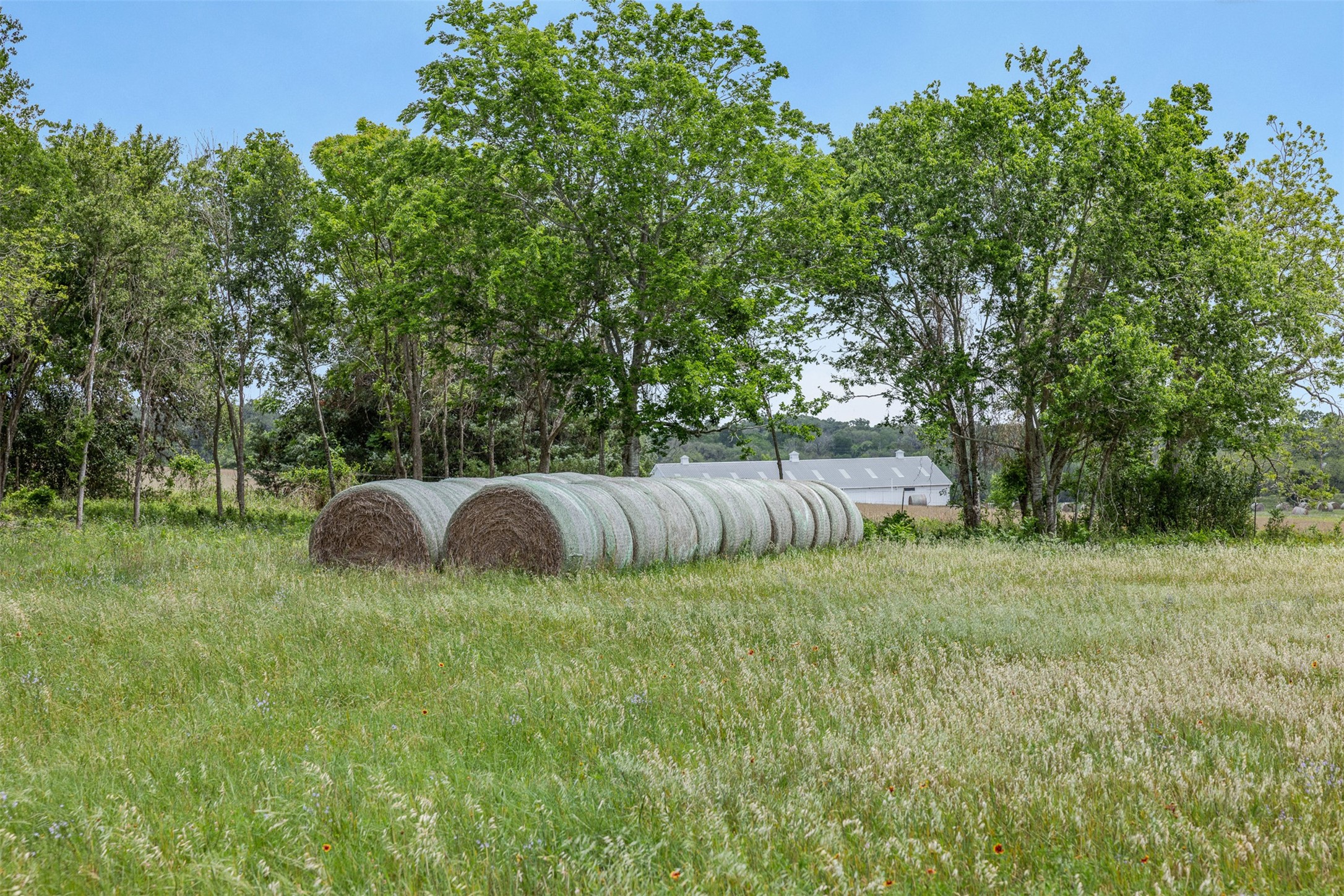 Tbd Bauer Rummel Road Round Top, TX 78954 - Photo 11 of 30