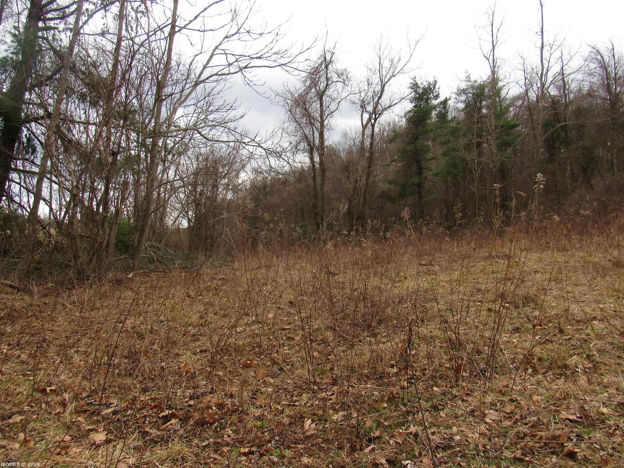 Tbd Conner Road Northeast Copper Hill, VA 24079 - Photo 12 of 22 Gallery Image 12