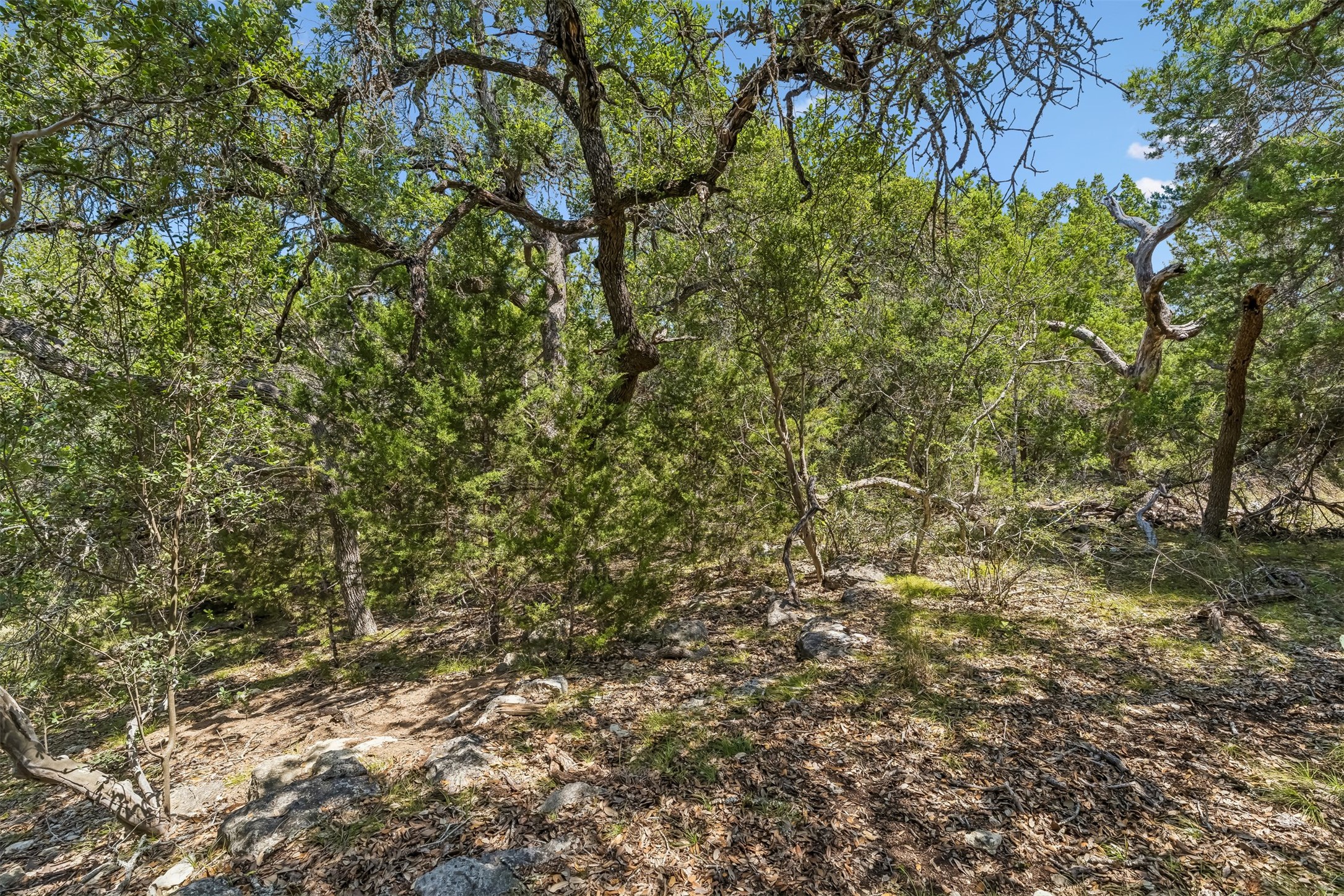 854 Maximino Ridge Road Bulverde, TX 78163 - Photo 12 of 32 Gallery Image 12
