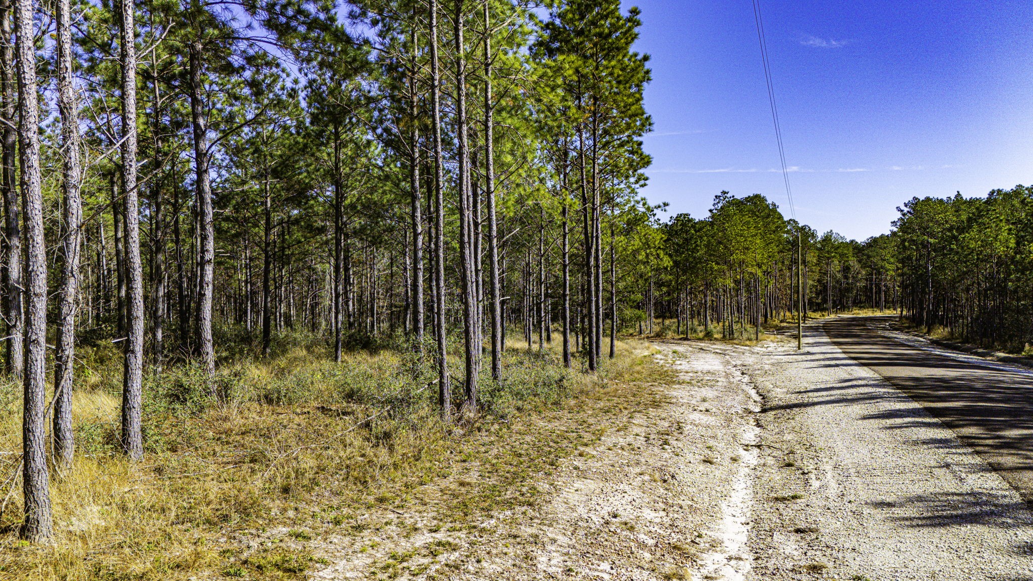23 Magnolia Ranch Road Onalaska, TX 77360 - Photo 6 of 9 a view of a yard with trees