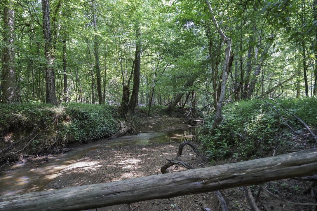 1560 Meansville Road Union, SC 29379 - Photo 11 of 14