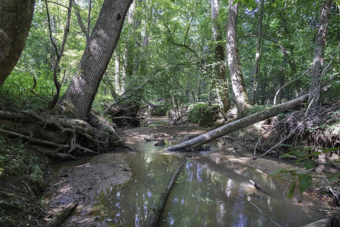 1560 Meansville Road Union, SC 29379 - Photo 12 of 14