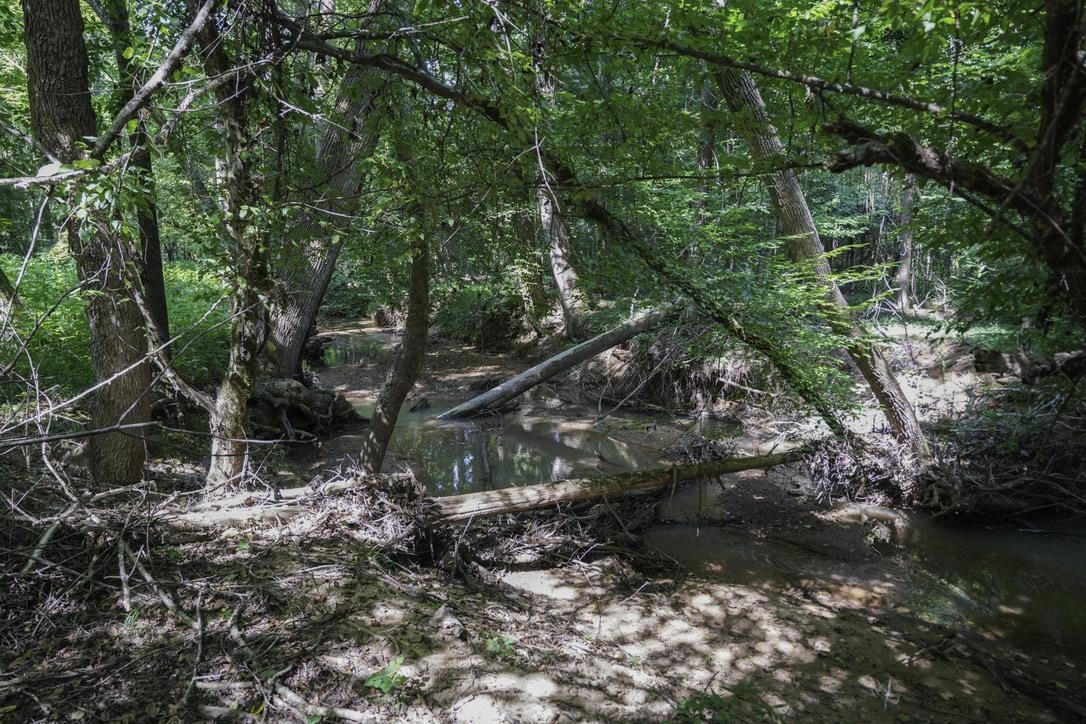 1560 Meansville Road Union, SC 29379 - Photo 13 of 14