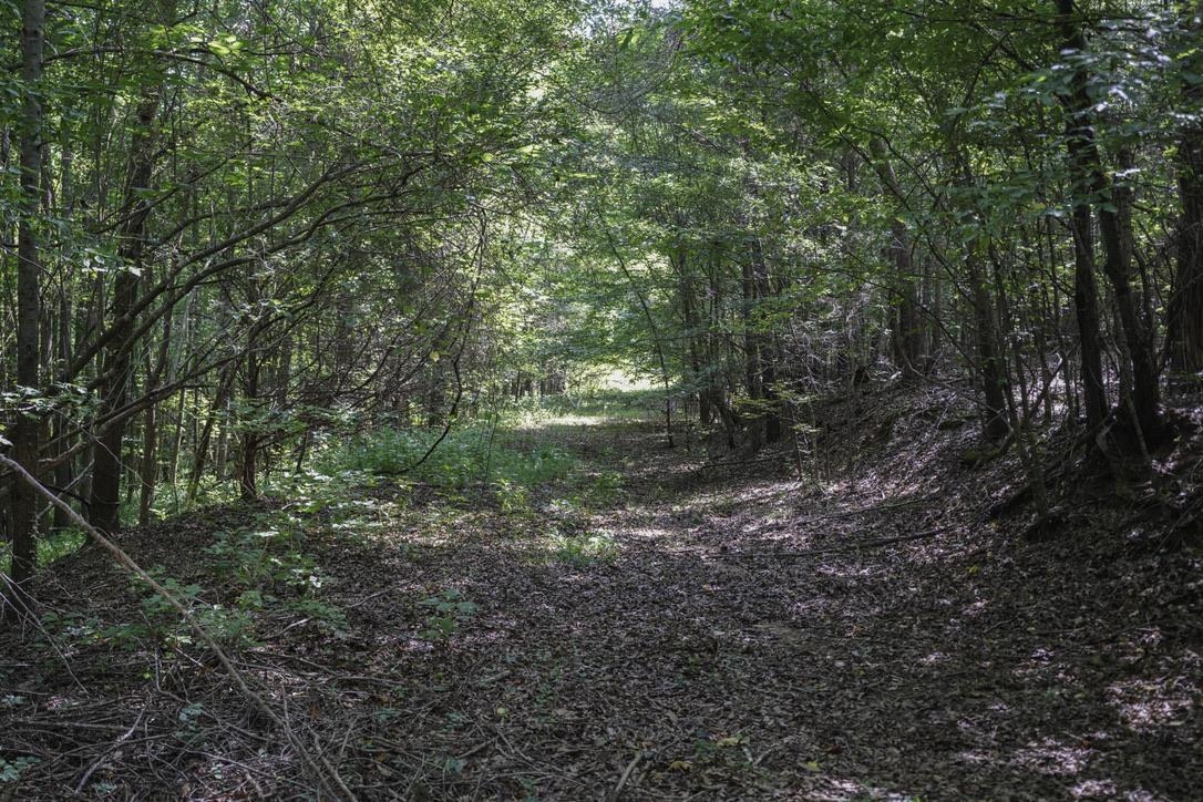 1560 Meansville Road Union, SC 29379 - Photo 14 of 14