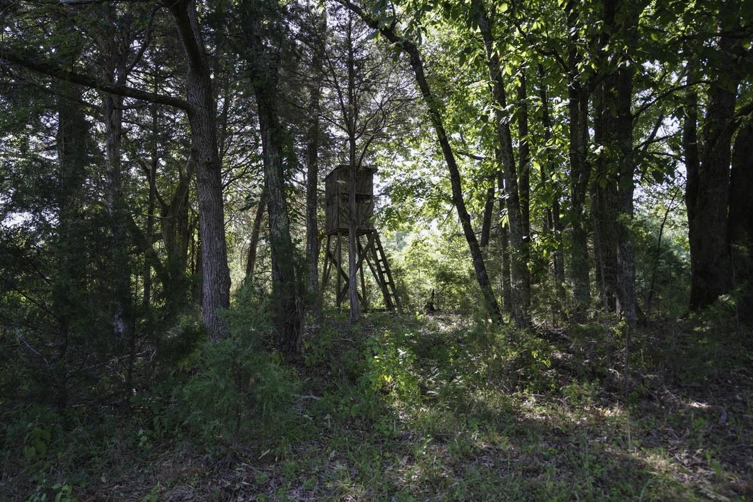 1560 Meansville Road Union, SC 29379 - Photo 9 of 14