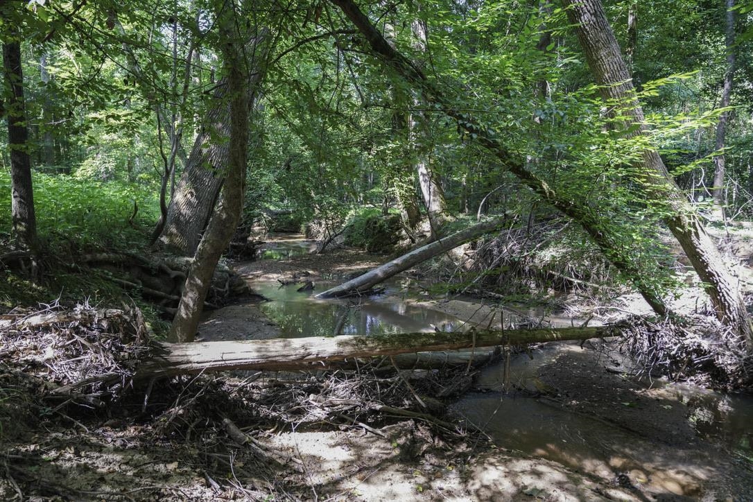 1560 Meansville Road Union, SC 29379 - Photo 10 of 14