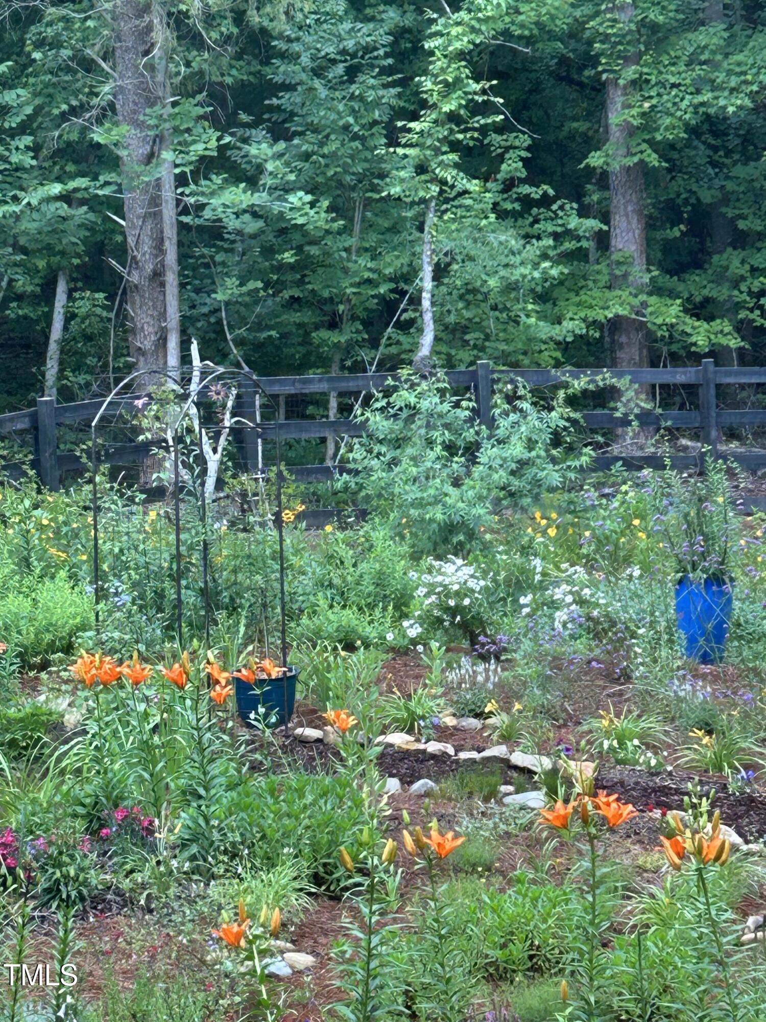 1017 Fortune Lane Mebane, NC 27302 - Photo 68 of 84 a backyard of a house with lots of green space and trees all around