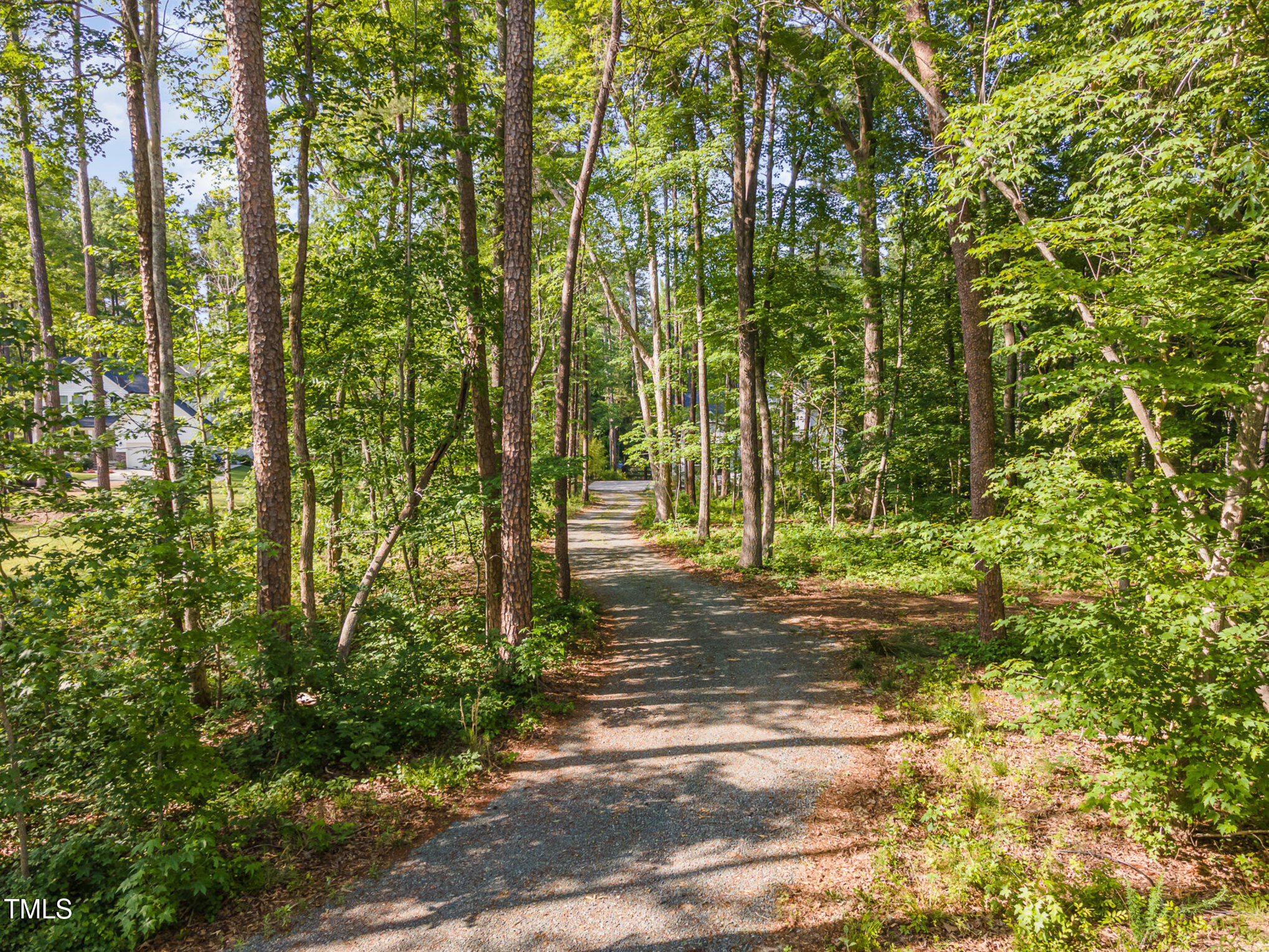 1017 Fortune Lane Mebane, NC 27302 - Photo 71 of 84 a view of a yard with plants and trees