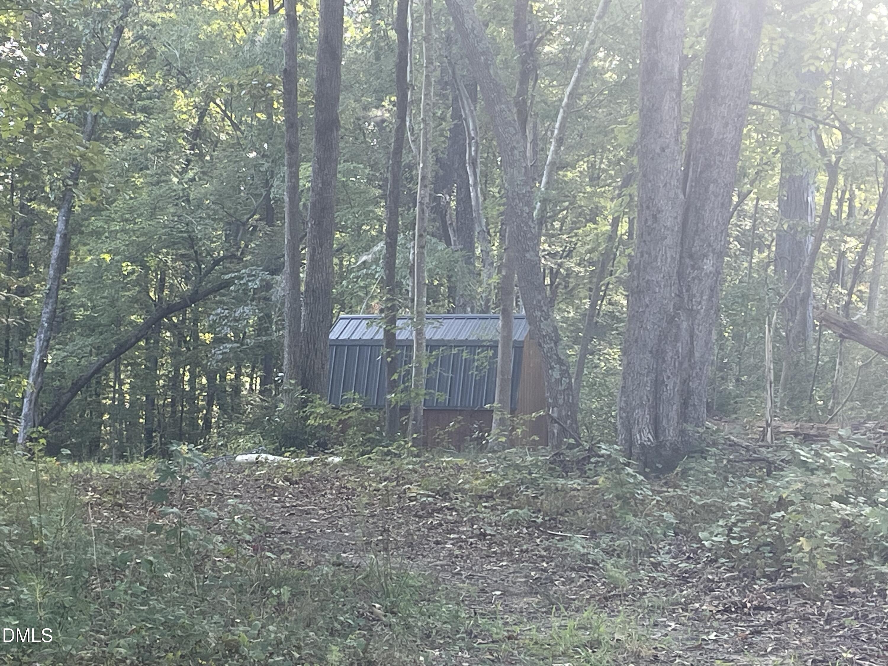 1017 Fortune Lane Mebane, NC 27302 - Photo 74 of 84 a view of a forest