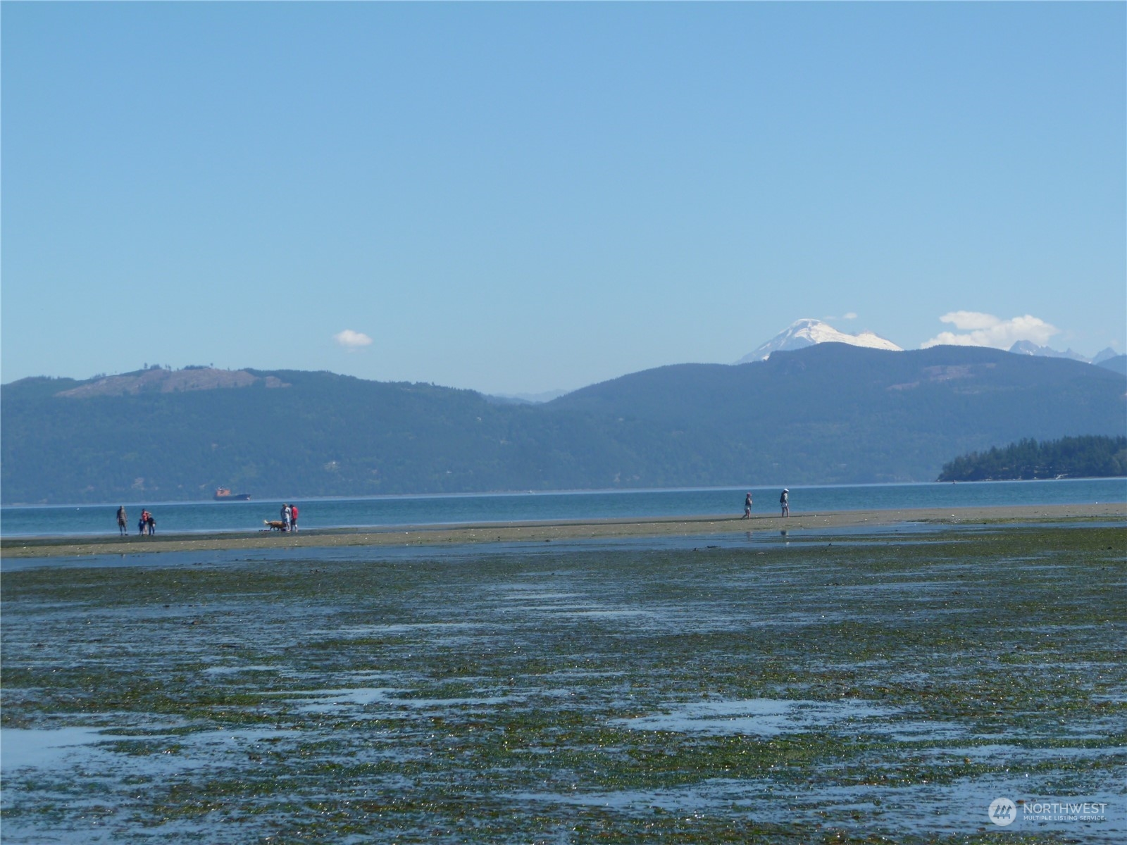 5093 Guemes Island Road Anacortes, WA 98221 - Photo 25 of 35 Gallery Image 25