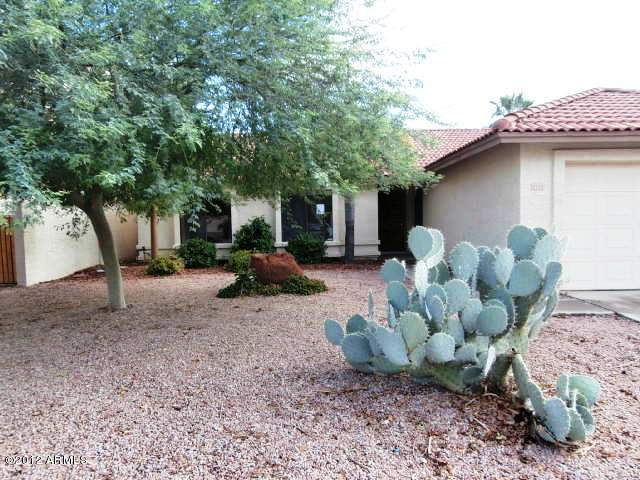 023-335123 - Front Yard