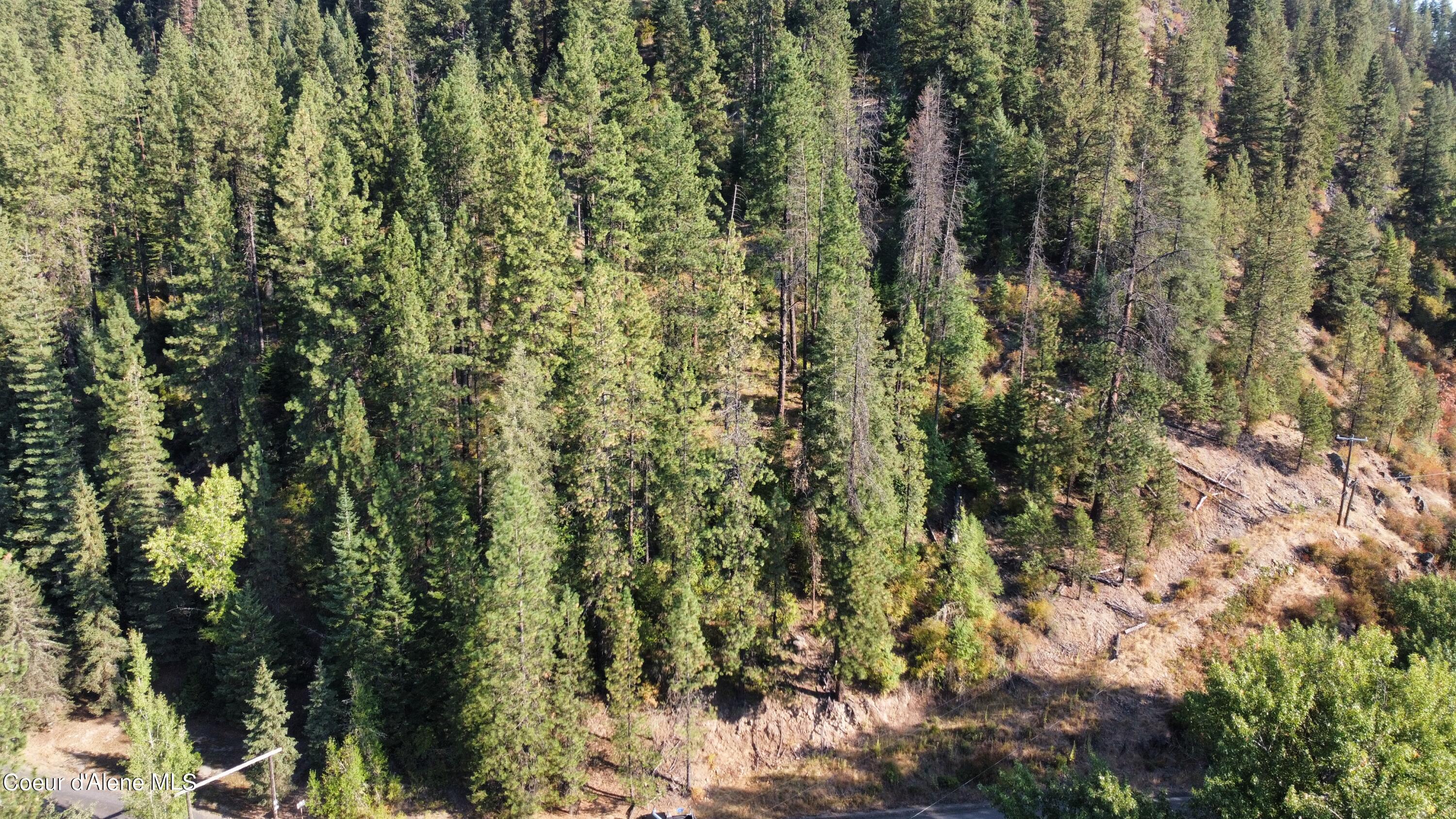 Nka St Maries River Road St. Maries, ID 83861 - Photo 3 of 6 Aerial