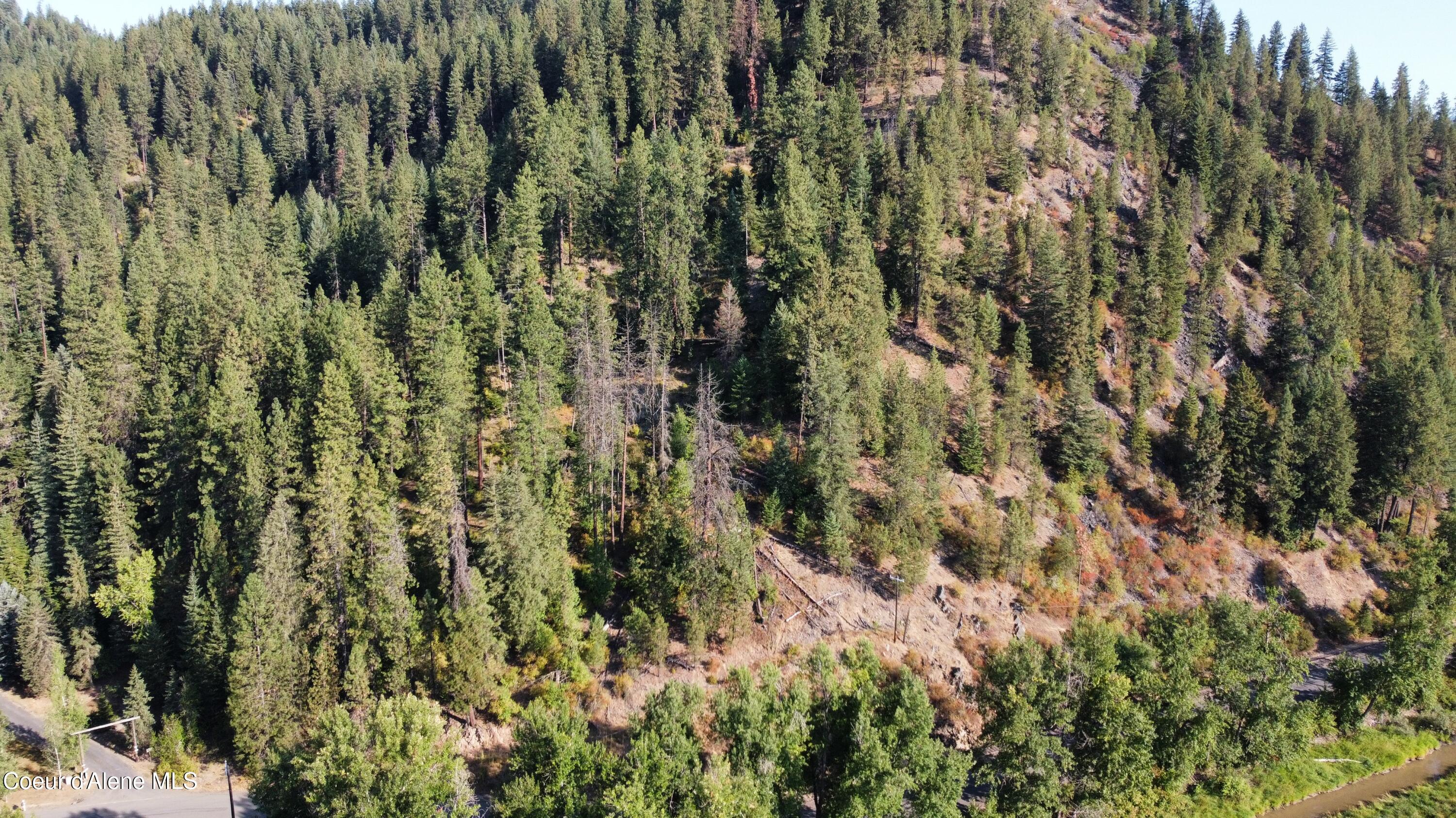Nka St Maries River Road St. Maries, ID 83861 - Photo 5 of 6 Aerial