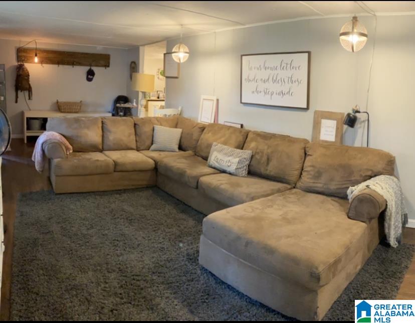5785 Highway 11 Springville, AL 35146 - Photo 5 of 11