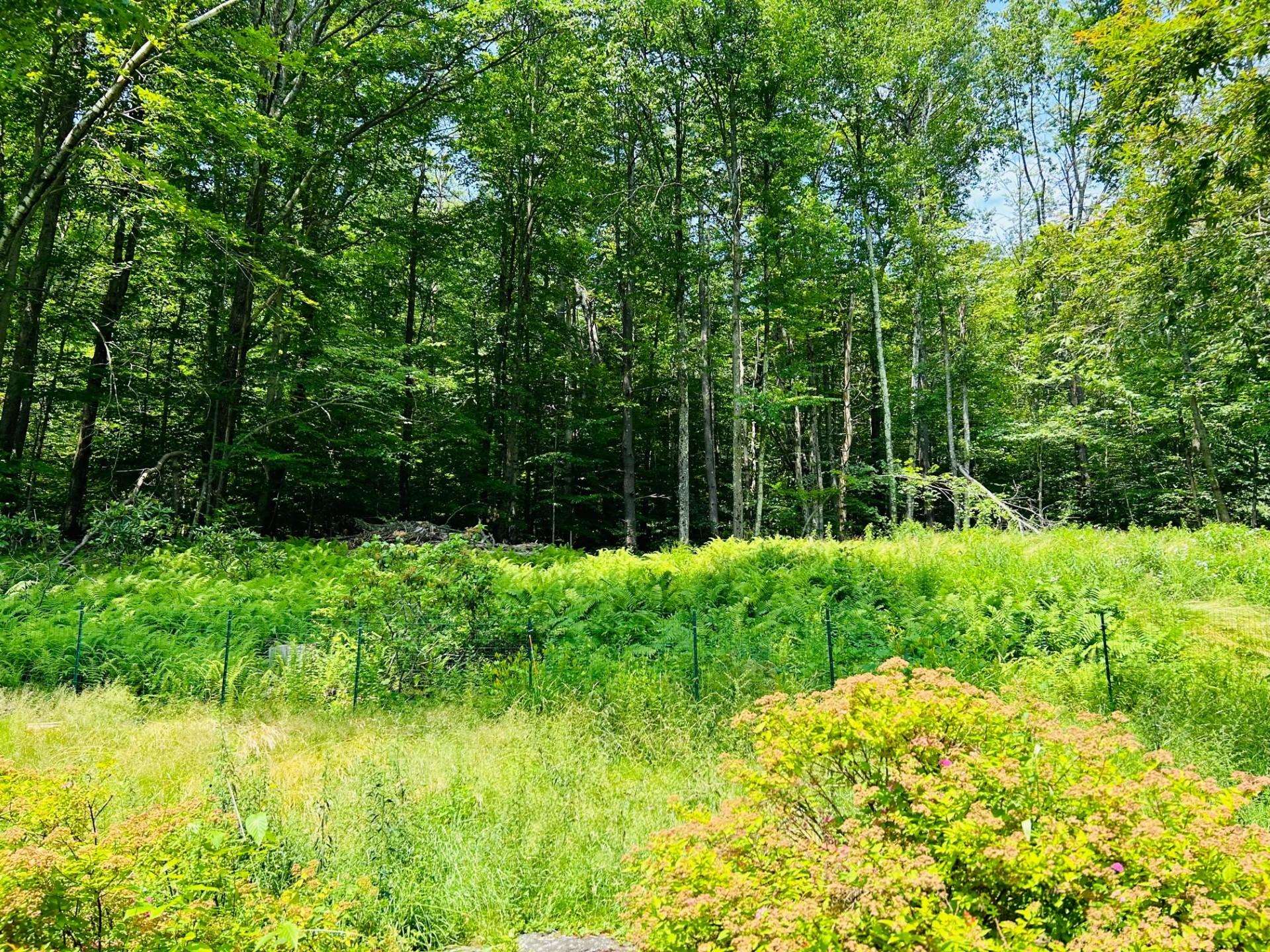 94 Richmond Road Fitzwilliam, NH 03447 - Photo 27 of 37