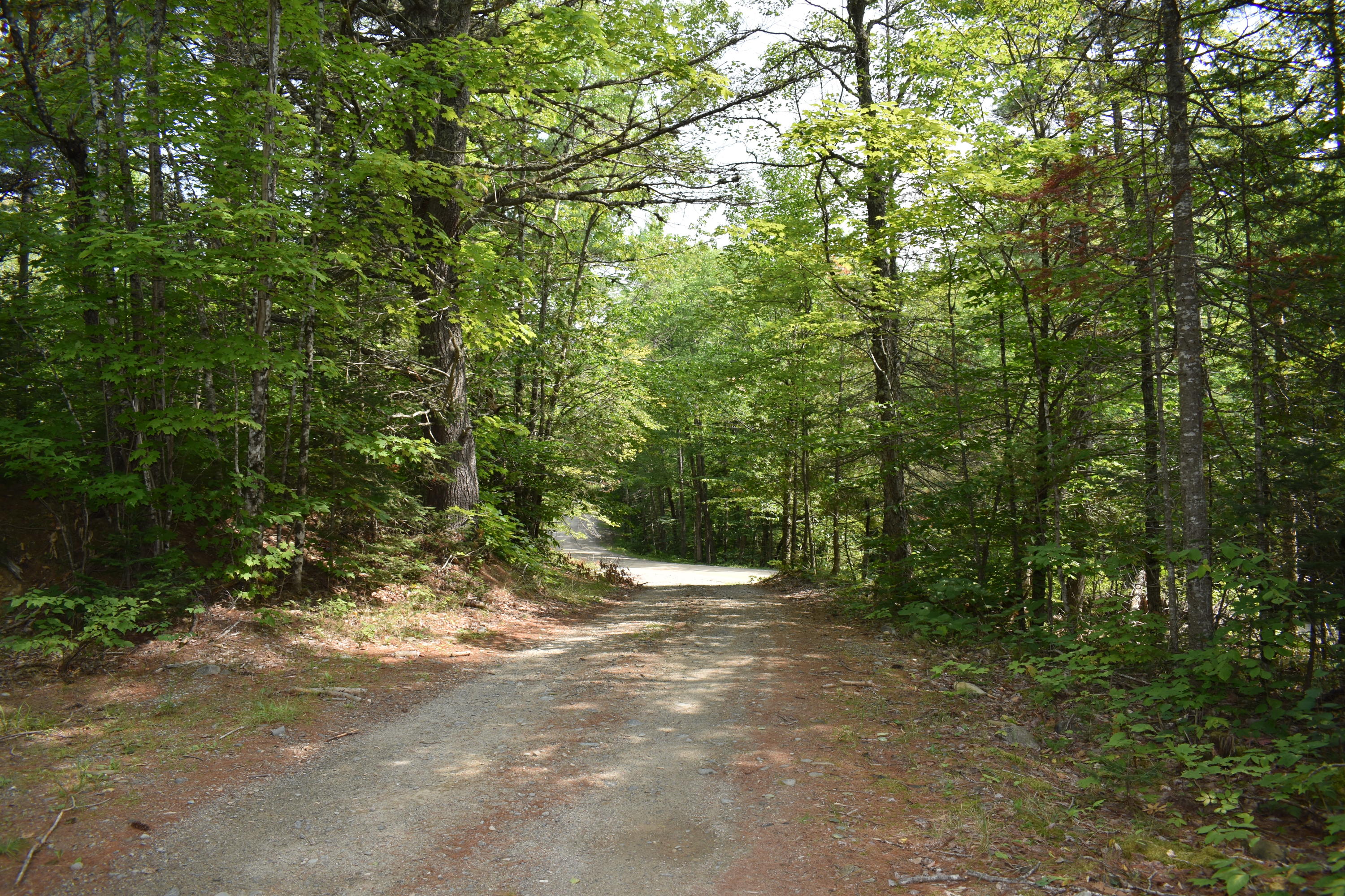 Off Off North Road Lee, ME 04455 - Photo 3 of 13 DSC_0028