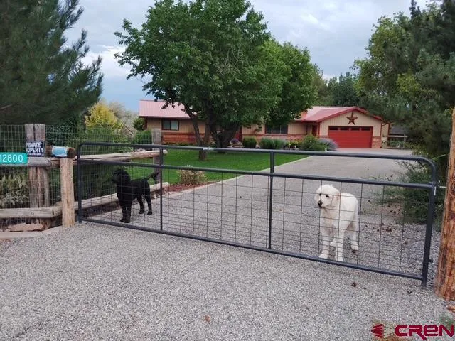 a view of a pathway covered with flower plants